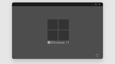 обновление Windows 11 с багом