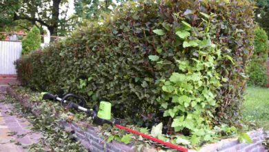 аккумуляторный штанговый кусторез Greenworks G60PHT