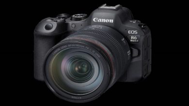 беззеркальная камера Canon EOS R6 Mark II