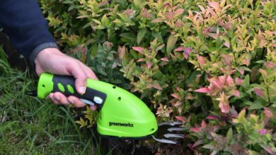 аккумуляторные ножницы-кусторез Greenworks 3,6 В